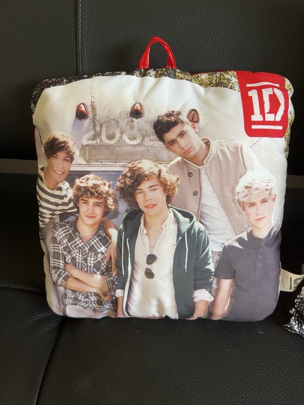 One Direction 1D Pillow - Photo Print, Wall Hanging ~2012 Decor 10”